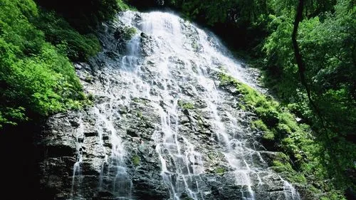 工业工业节能